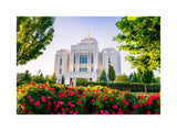 Meridian Temple - Flowers