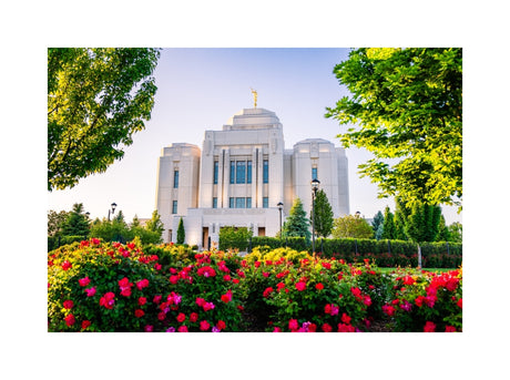 Meridian Temple - Flowers