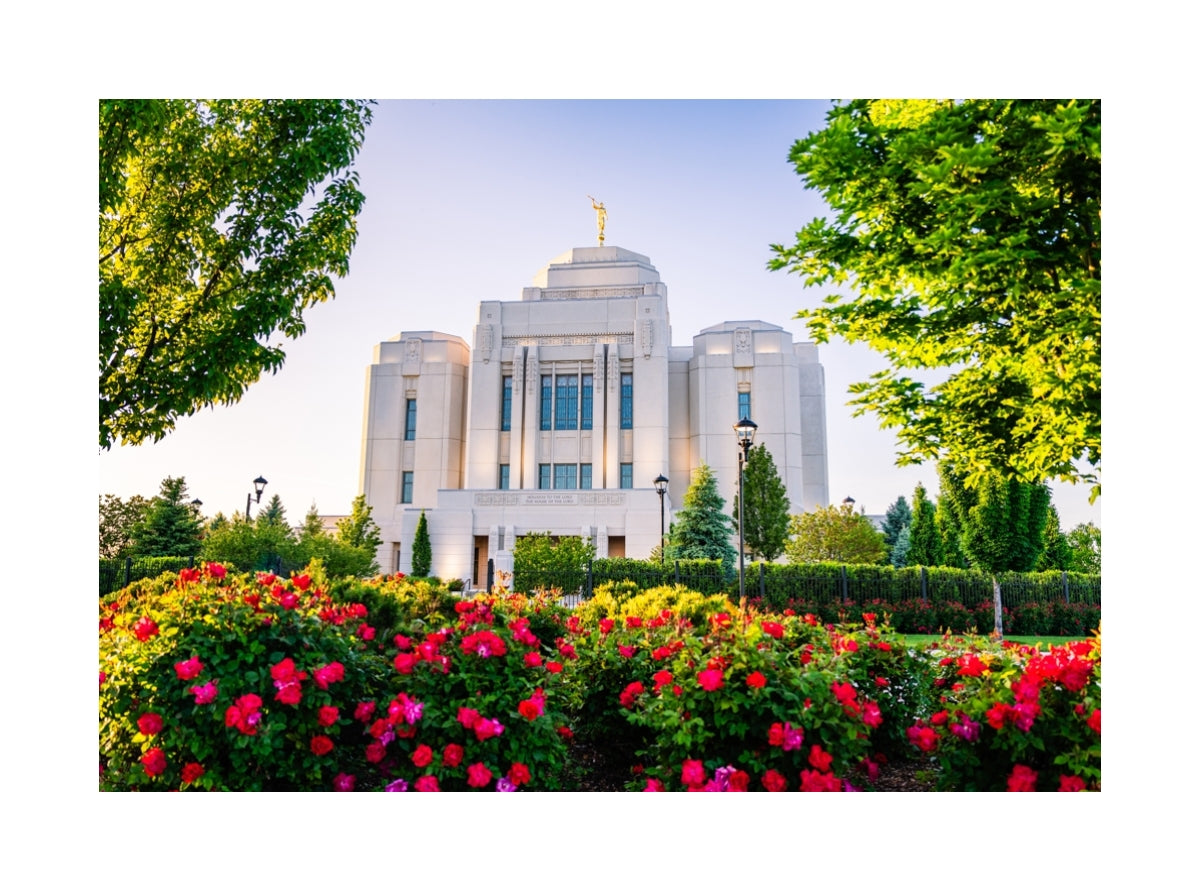 Meridian Temple - Flowers