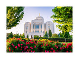 Meridian Temple - Flowers