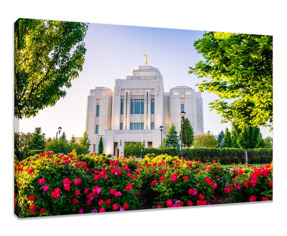 Meridian Temple - Flowers