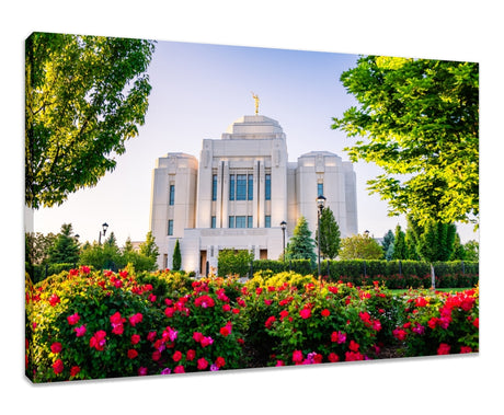 Meridian Temple - Flowers