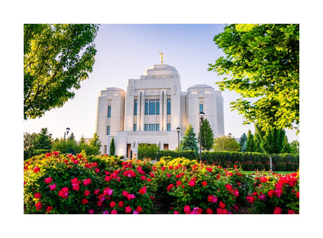 Meridian Temple - Flowers