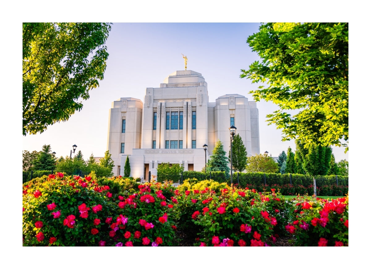 Meridian Temple - Flowers