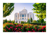 Meridian Temple - Flowers