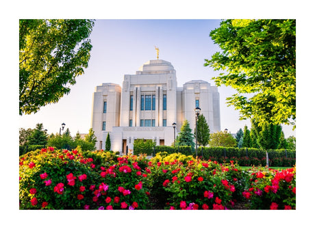 Meridian Temple - Flowers