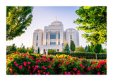 Meridian Temple - Flowers