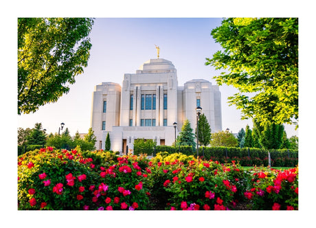 Meridian Temple - Flowers