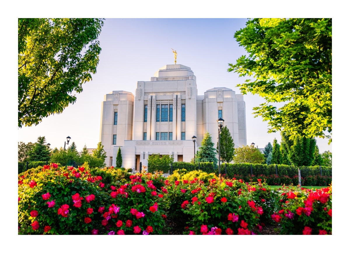 Meridian Temple - Flowers