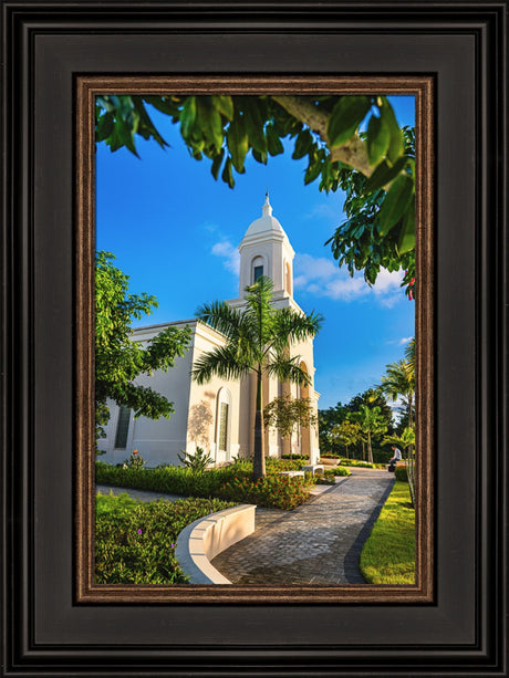 San Juan Puerto Rico Temple - Pathway