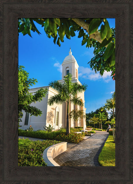 San Juan Puerto Rico Temple - Pathway