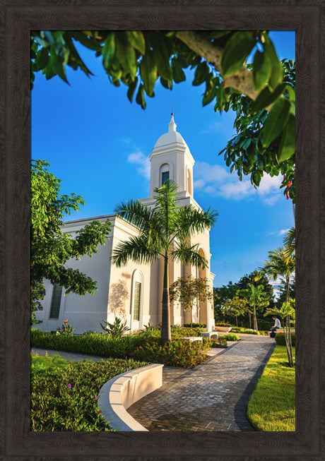 San Juan Puerto Rico Temple - Pathway