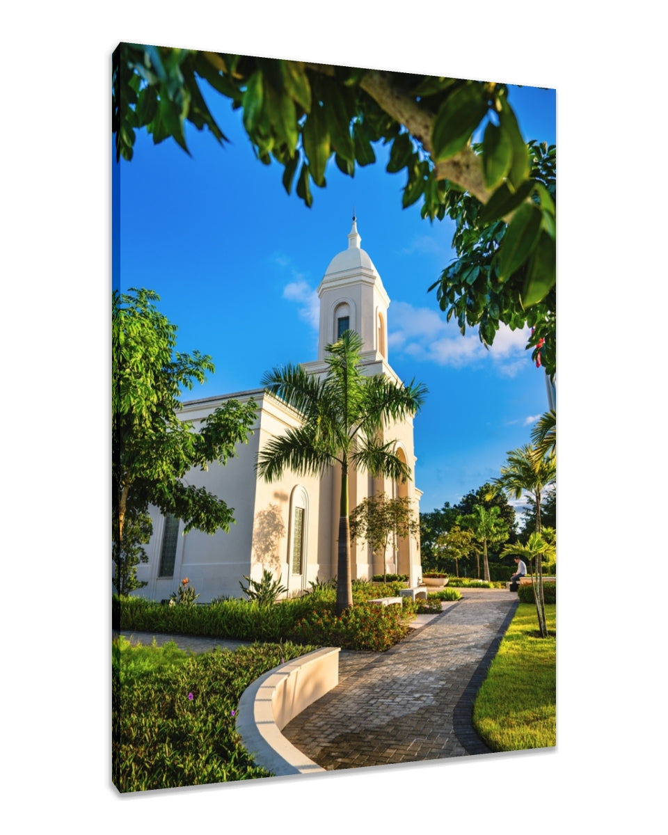 San Juan Puerto Rico Temple - Pathway