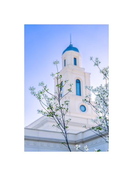Bentonville Temple - Spire Blossoms