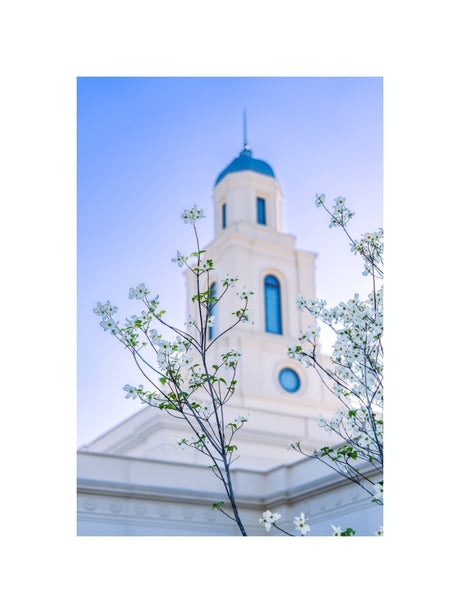 Bentonville Temple - Spire Blossoms