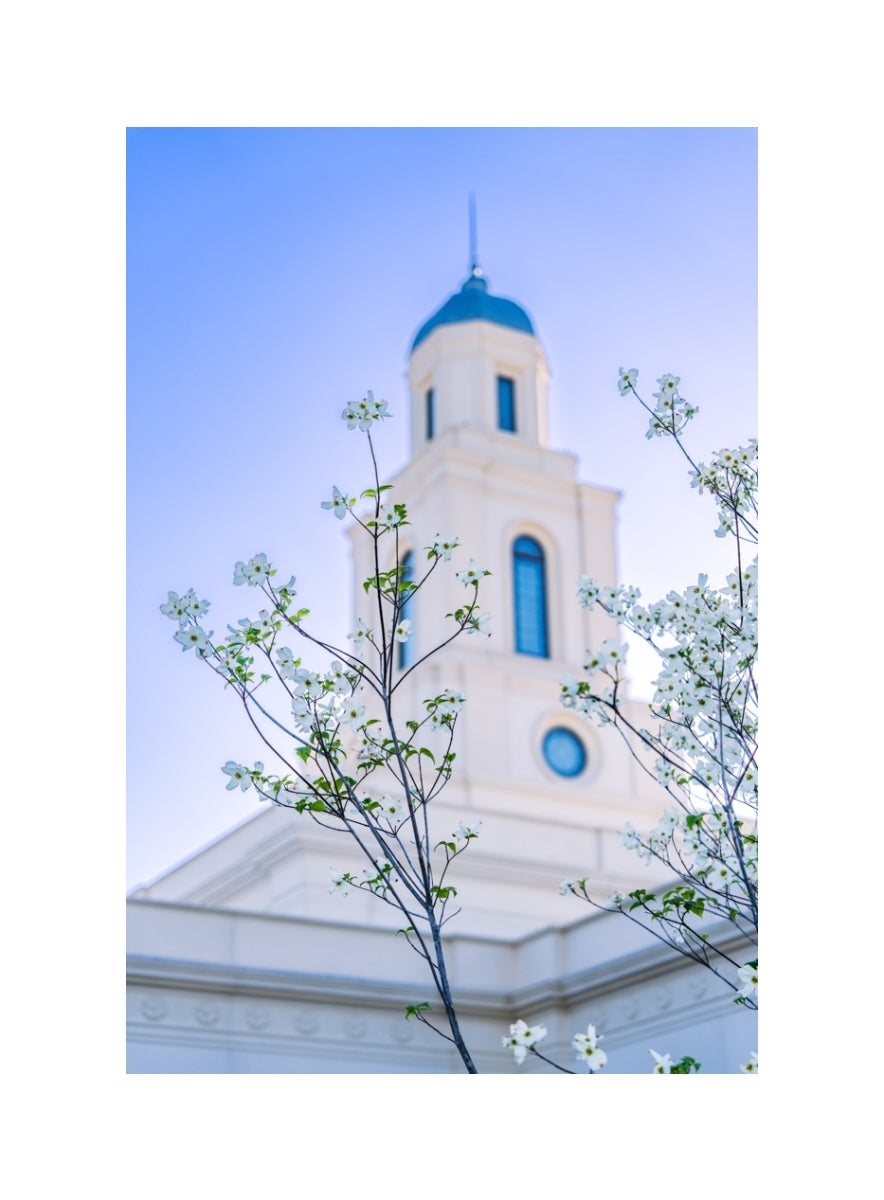 Bentonville Temple - Spire Blossoms
