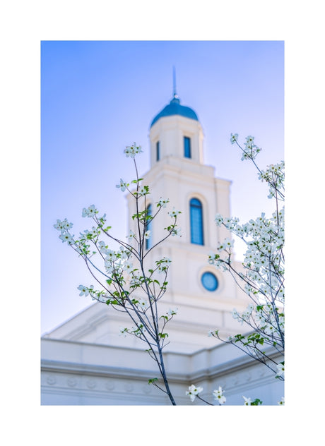 Bentonville Temple - Spire Blossoms