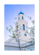 Bentonville Temple - Spire Blossoms