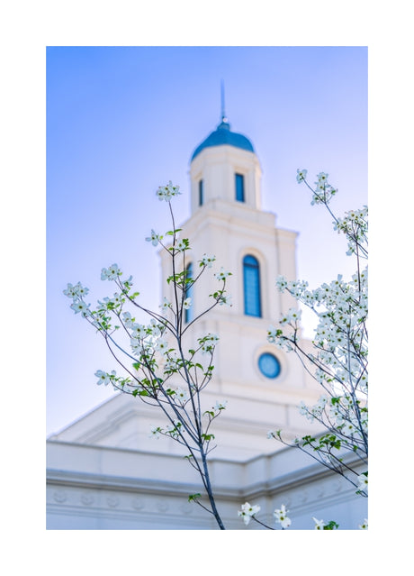 Bentonville Temple - Spire Blossoms