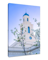 Bentonville Temple - Spire Blossoms