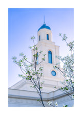 Bentonville Temple - Spire Blossoms