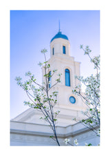 Bentonville Temple - Spire Blossoms