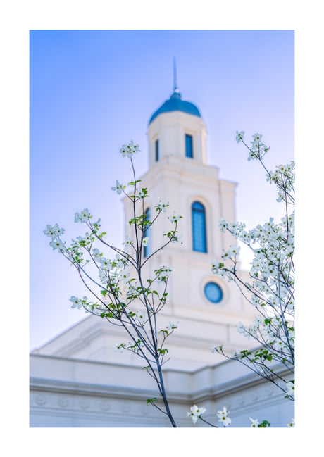 Bentonville Temple - Spire Blossoms