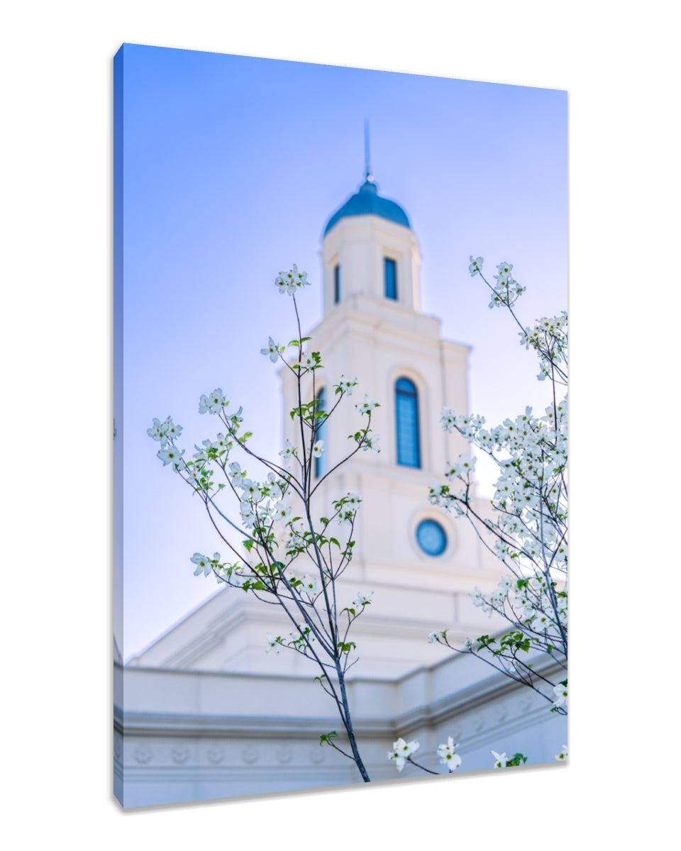 Bentonville Temple - Spire Blossoms