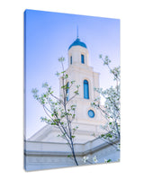 Bentonville Temple - Spire Blossoms