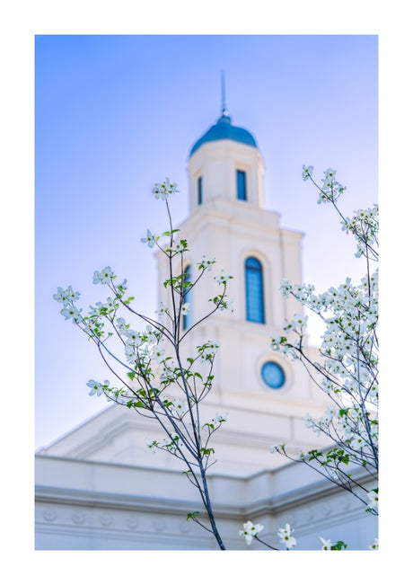 Bentonville Temple - Spire Blossoms