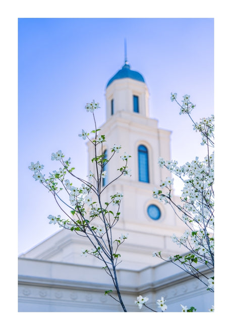 Bentonville Temple - Spire Blossoms