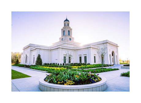 Bentonville Temple - Corner Sunbeam