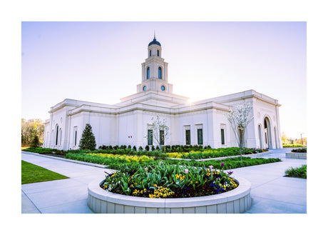 Bentonville Temple - Corner Sunbeam