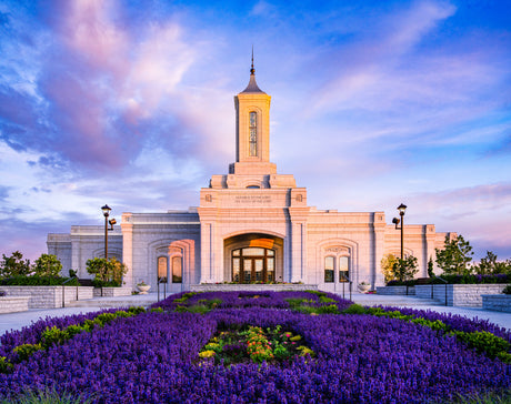 The Moses Lake Washington Temple with purple flowers.