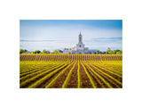 Moses Lake Temple - Seed of Faith
