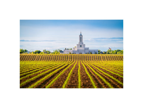 Moses Lake Temple - Seed of Faith
