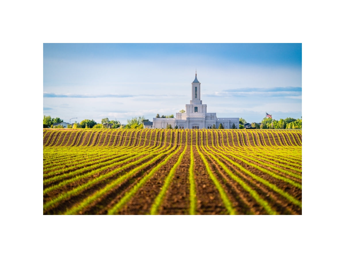 Moses Lake Temple - Seed of Faith