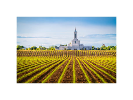 Moses Lake Temple - Seed of Faith