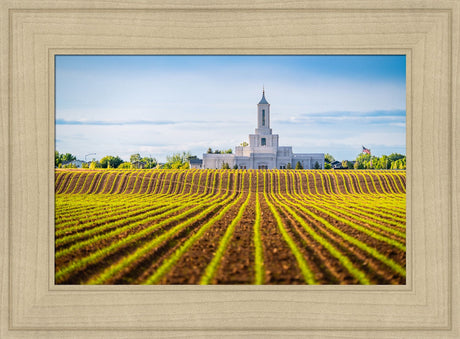 Moses Lake Temple - Seed of Faith