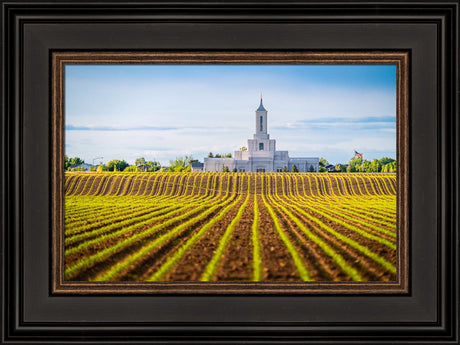 Moses Lake Temple - Seed of Faith