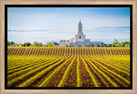 Moses Lake Temple - Seed of Faith