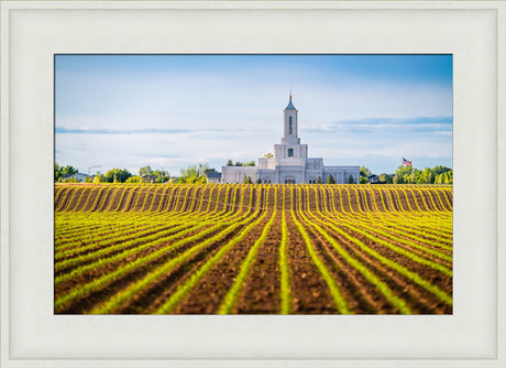 Moses Lake Temple - Seed of Faith