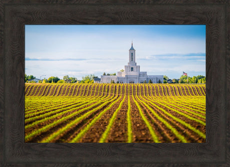 Moses Lake Temple - Seed of Faith