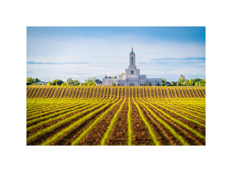 Moses Lake Temple - Seed of Faith