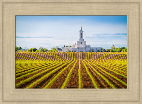 Moses Lake Temple - Seed of Faith