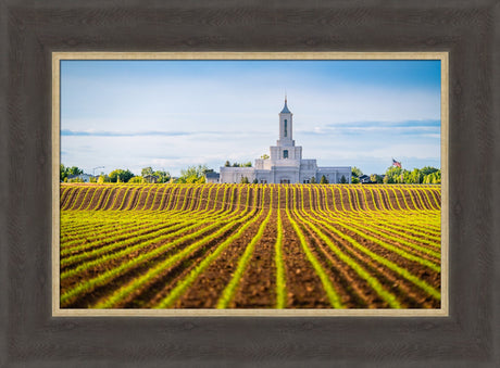 Moses Lake Temple - Seed of Faith