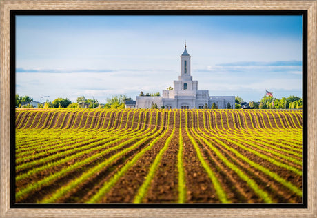 Moses Lake Temple - Seed of Faith
