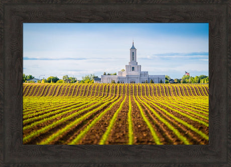 Moses Lake Temple - Seed of Faith