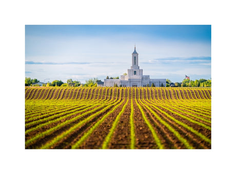 Moses Lake Temple - Seed of Faith