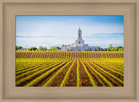 Moses Lake Temple - Seed of Faith